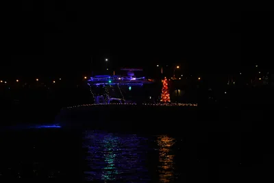 DSC_2479 (Large).JPG